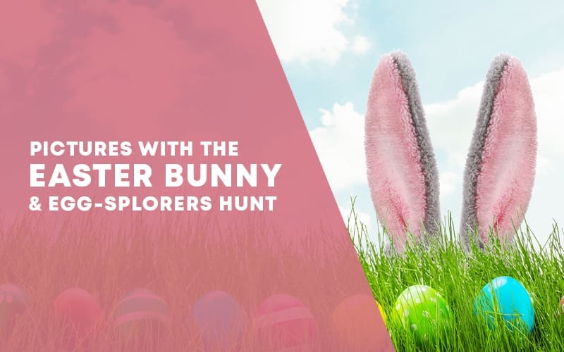 Easter Bunny Web